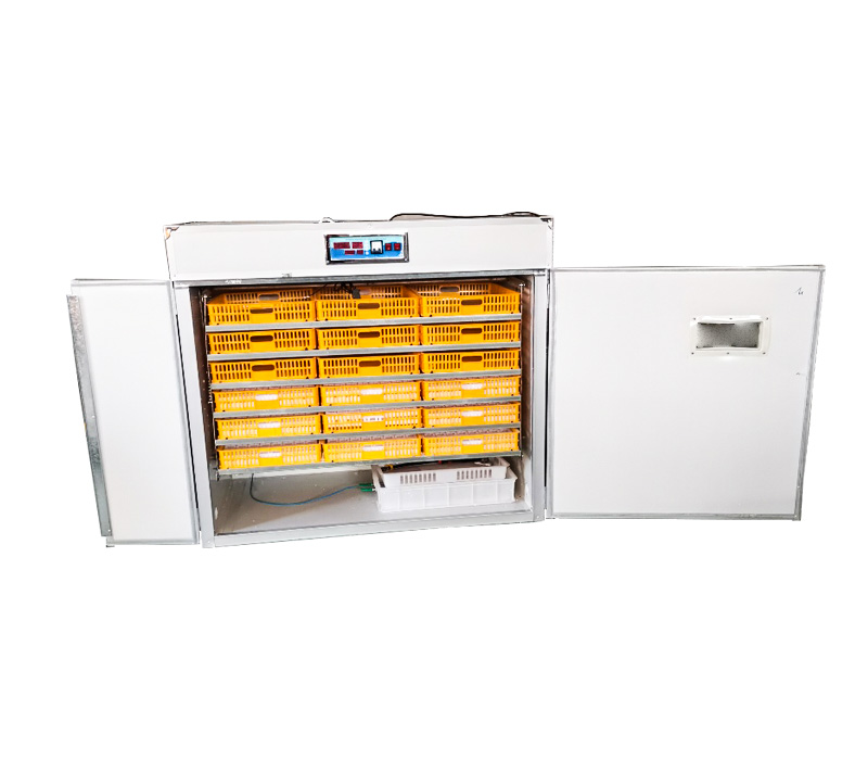 Quail Egg Incubator - Sterownik do w pełni automatycznego inkubatora