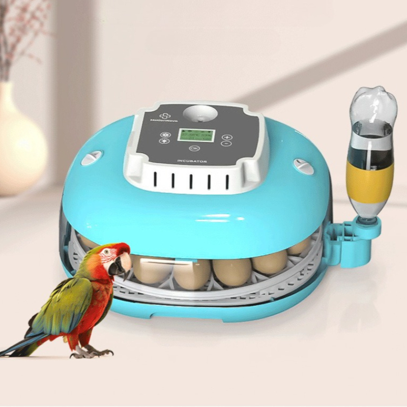Quail Egg Incubator - W pełni automatyczna inkubatorka do jaj,