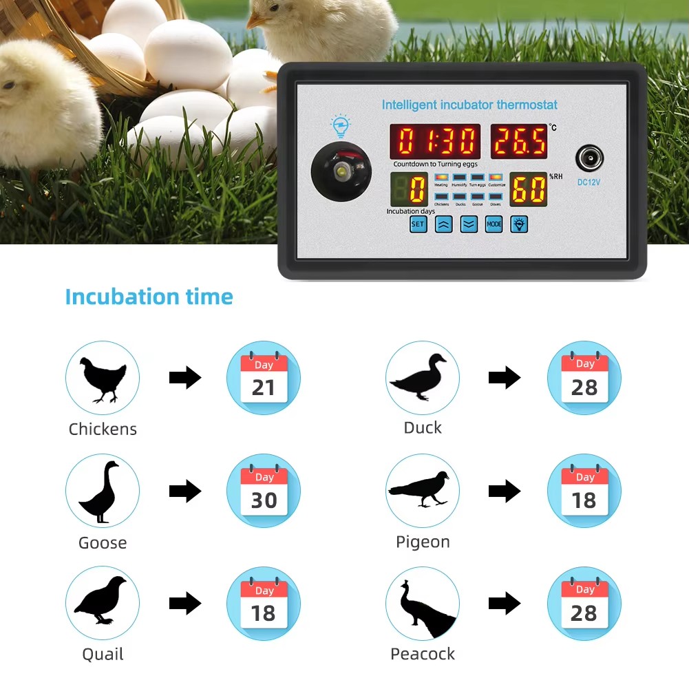 Poultry Incubator - ZFX-W9002 Kontroler inkubatora jaj 12V/220V z