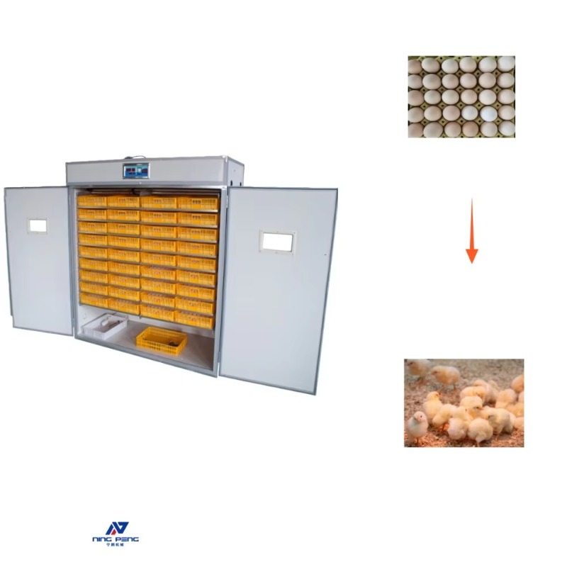 Poultry Incubator - Maszyna do inkubacji jaj drobiowych, solarna