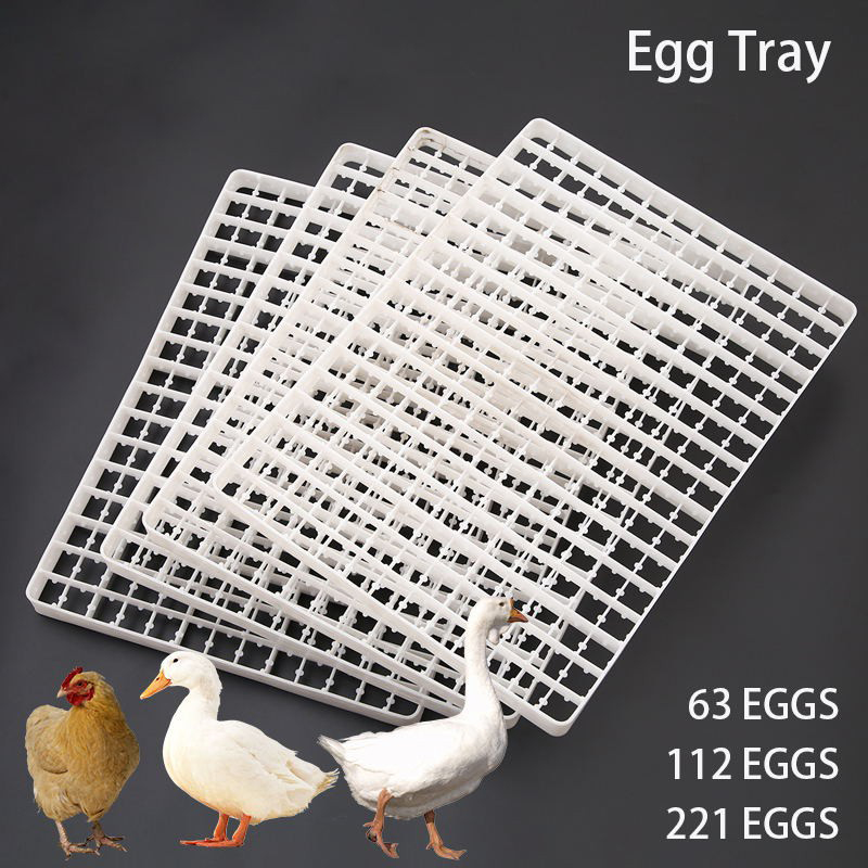 Quail Egg Incubator - 1 szt. Taca na jajka do