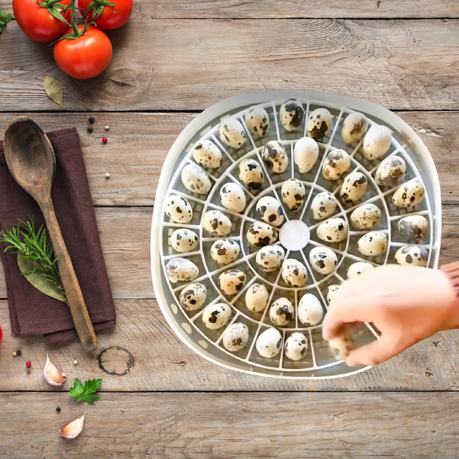 Quail Egg Incubator - Taca na jajka przepiórcze, pojemność 48