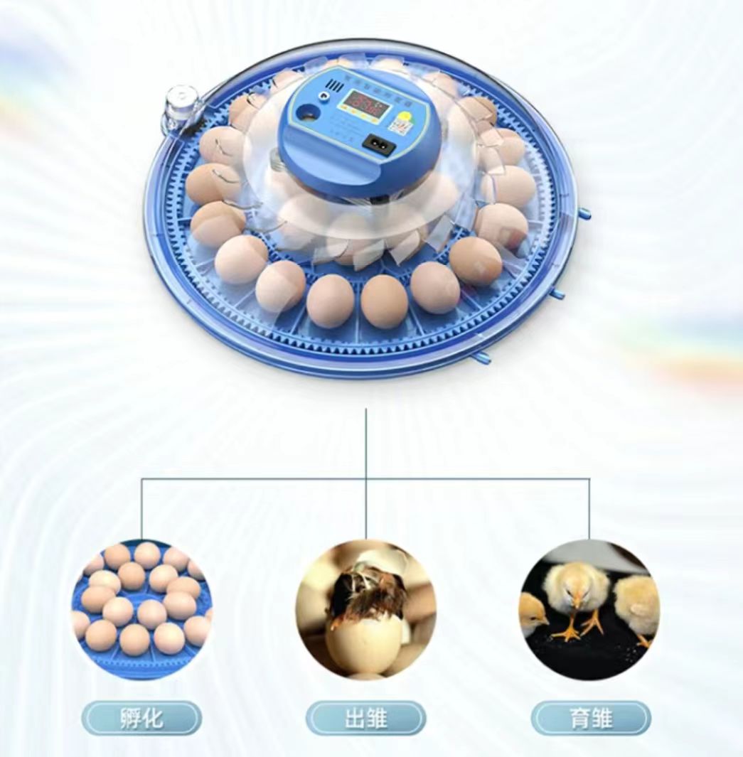 Poultry Incubator - Inkubator do jaj kurzych 20/24/36/56/96/112 jaj,