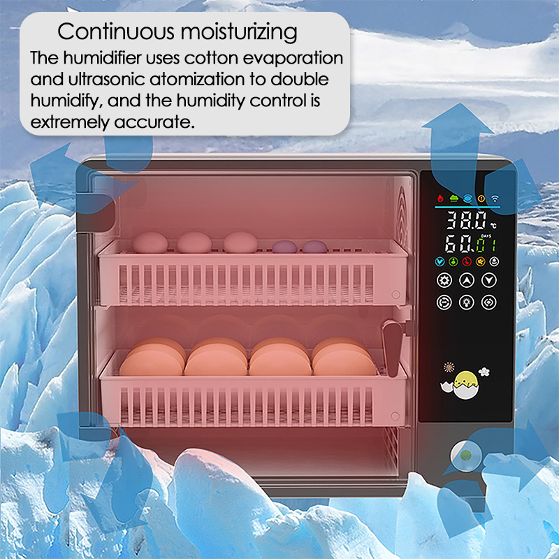 Inkubator do jaj z automatyczn – Quail Egg Incubator recenzja i cena