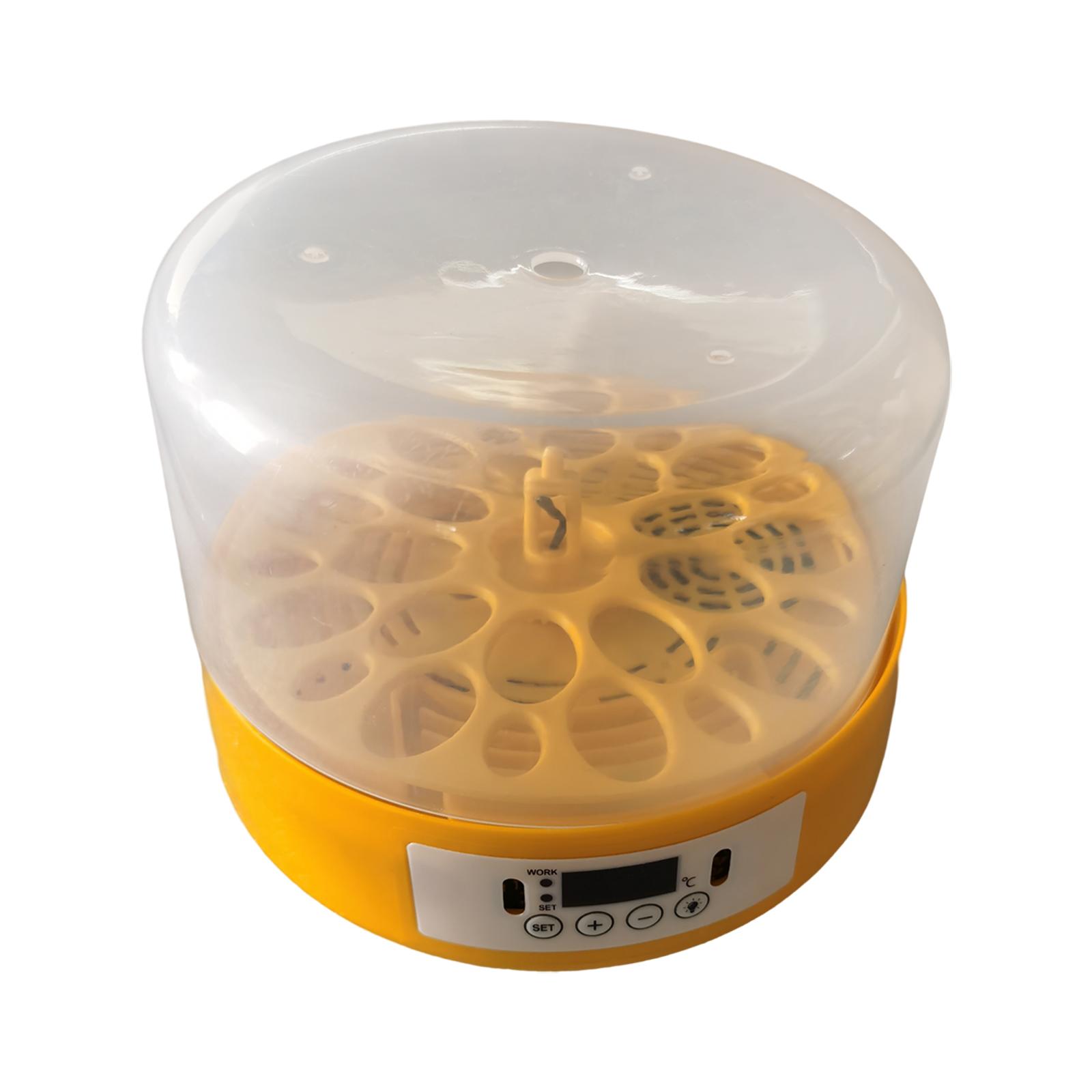 Inkubator do jaj, automatyczny – Quail Egg Incubator recenzja i cena