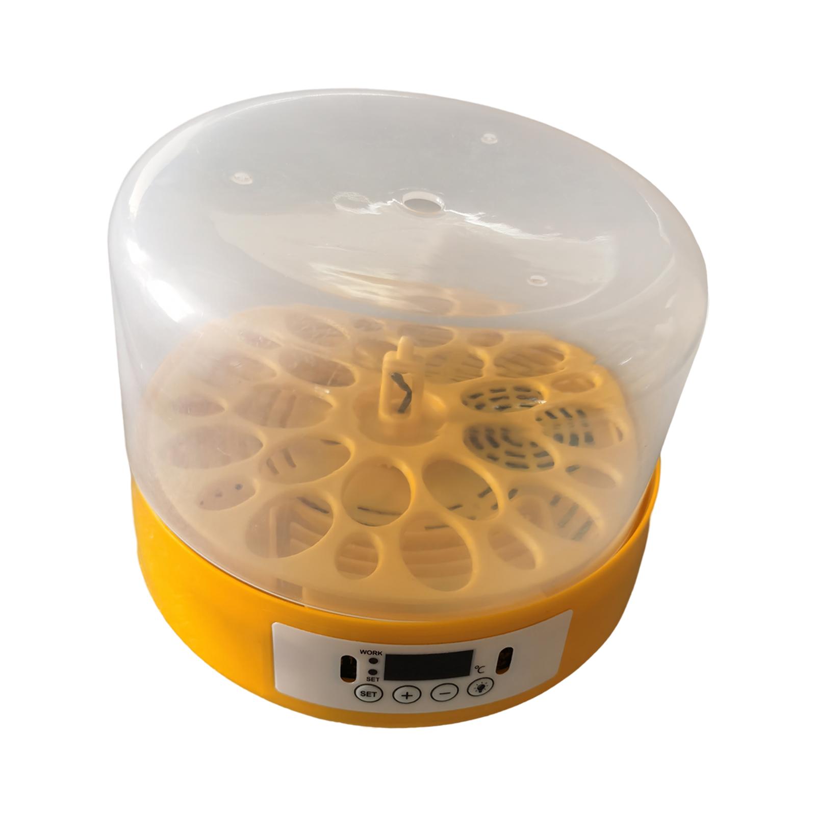 Inkubator do jaj, automatyczny – Quail Egg Incubator recenzja i cena