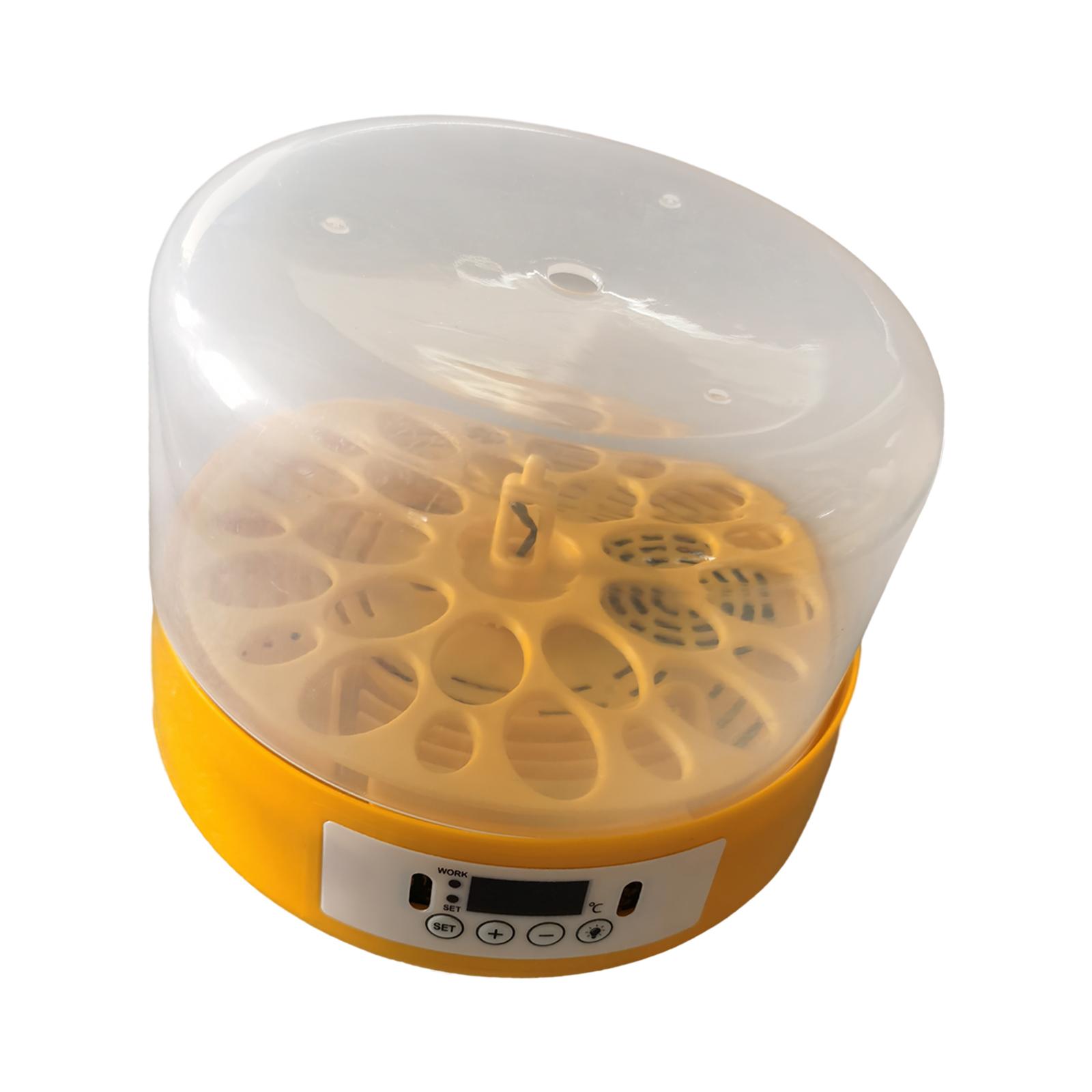 Inkubator do jaj, automatyczny – Quail Egg Incubator recenzja i cena