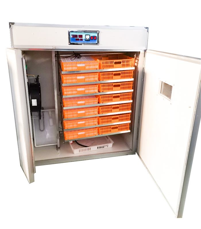 Sterownik do w pełni automatyc – Quail Egg Incubator recenzja i cena