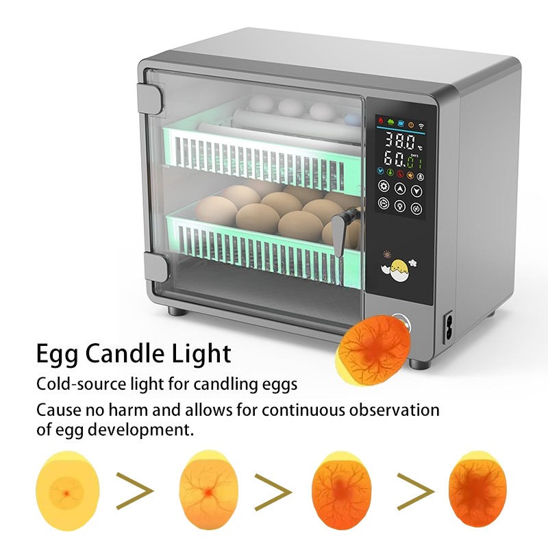 Fabrycznie Nowy 2026 W pełni A – Quail Egg Incubator recenzja i cena