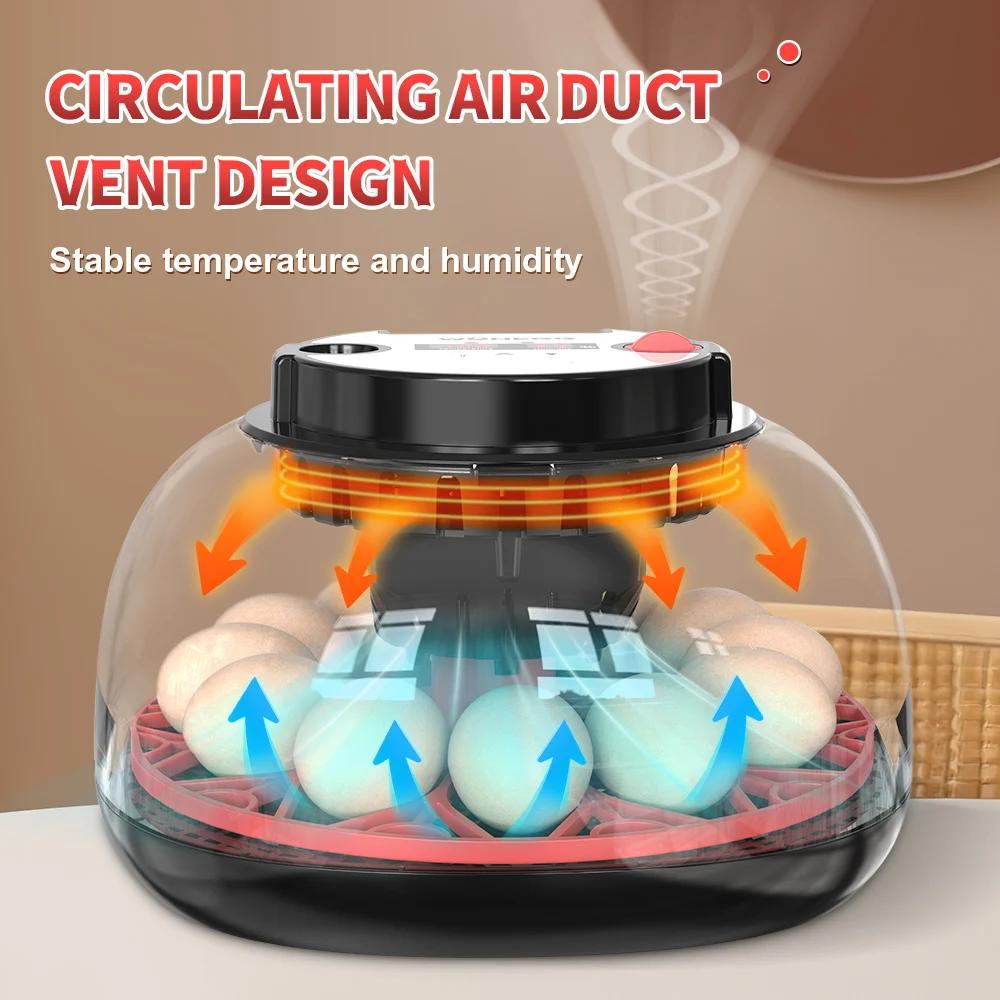 Inkubator na 12 jaj z automaty – Quail Egg Incubator recenzja i cena