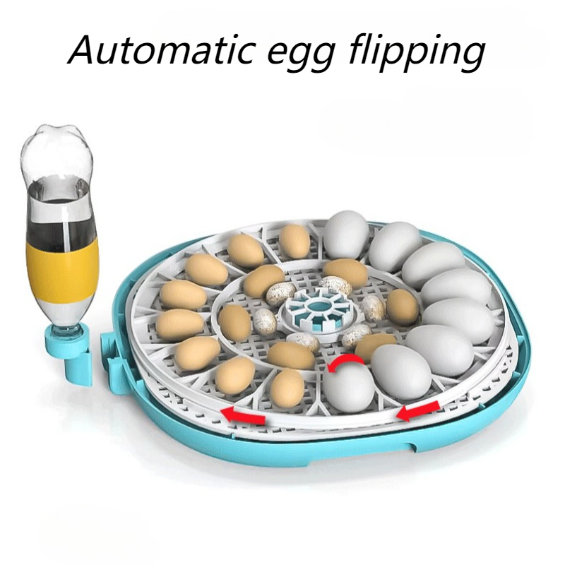 W pełni automatyczna inkubator – Quail Egg Incubator recenzja i cena