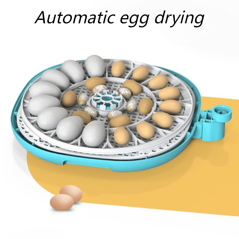 W pełni automatyczna inkubator – Quail Egg Incubator recenzja i cena