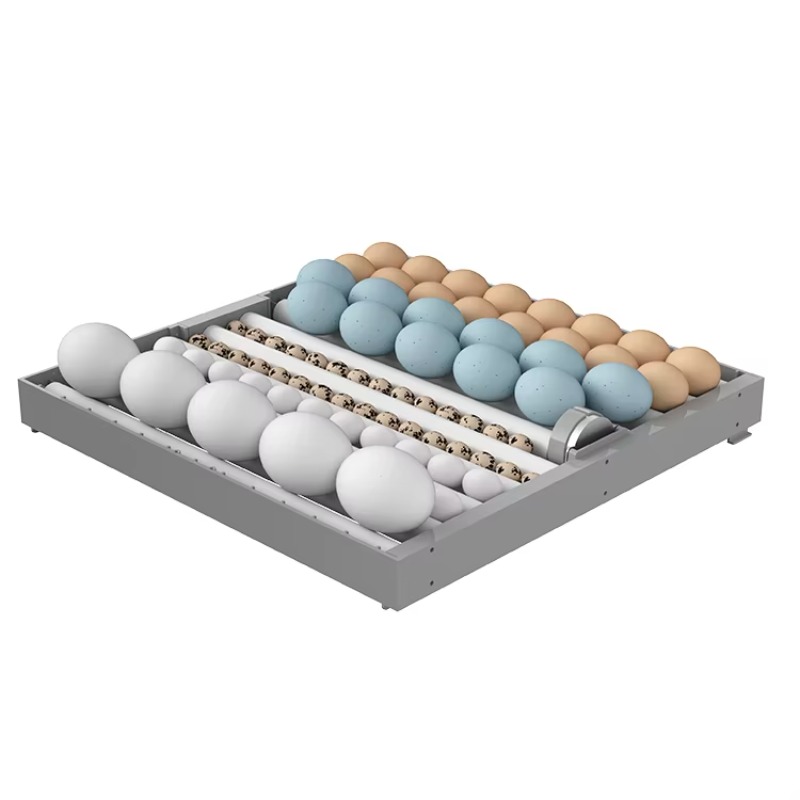 Inteligentny inkubator 7-warst – Poultry Incubator recenzja i cena
