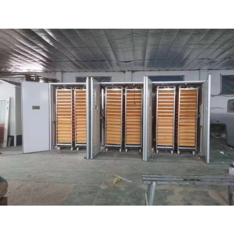 Maszyna do inkubacji jaj drobi – Poultry Incubator recenzja i cena