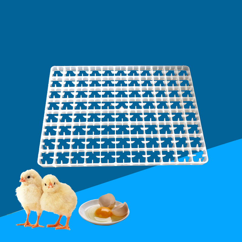 1 szt. Taca na jajka do inkuba – Quail Egg Incubator recenzja i cena