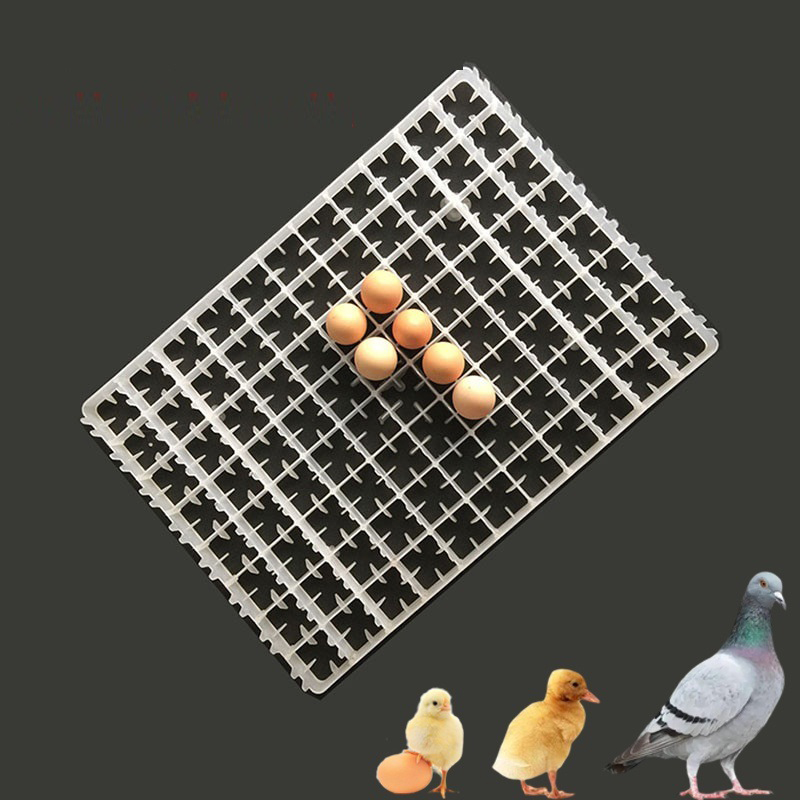 1 szt. Taca na jajka do inkuba – Quail Egg Incubator recenzja i cena