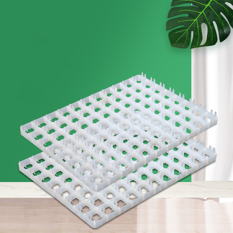 1 szt. Taca na jajka do inkuba – Quail Egg Incubator recenzja i cena