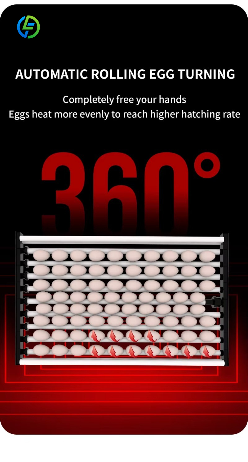 Nowy inkubator do przepiórek i – Quail Egg Incubator recenzja i cena