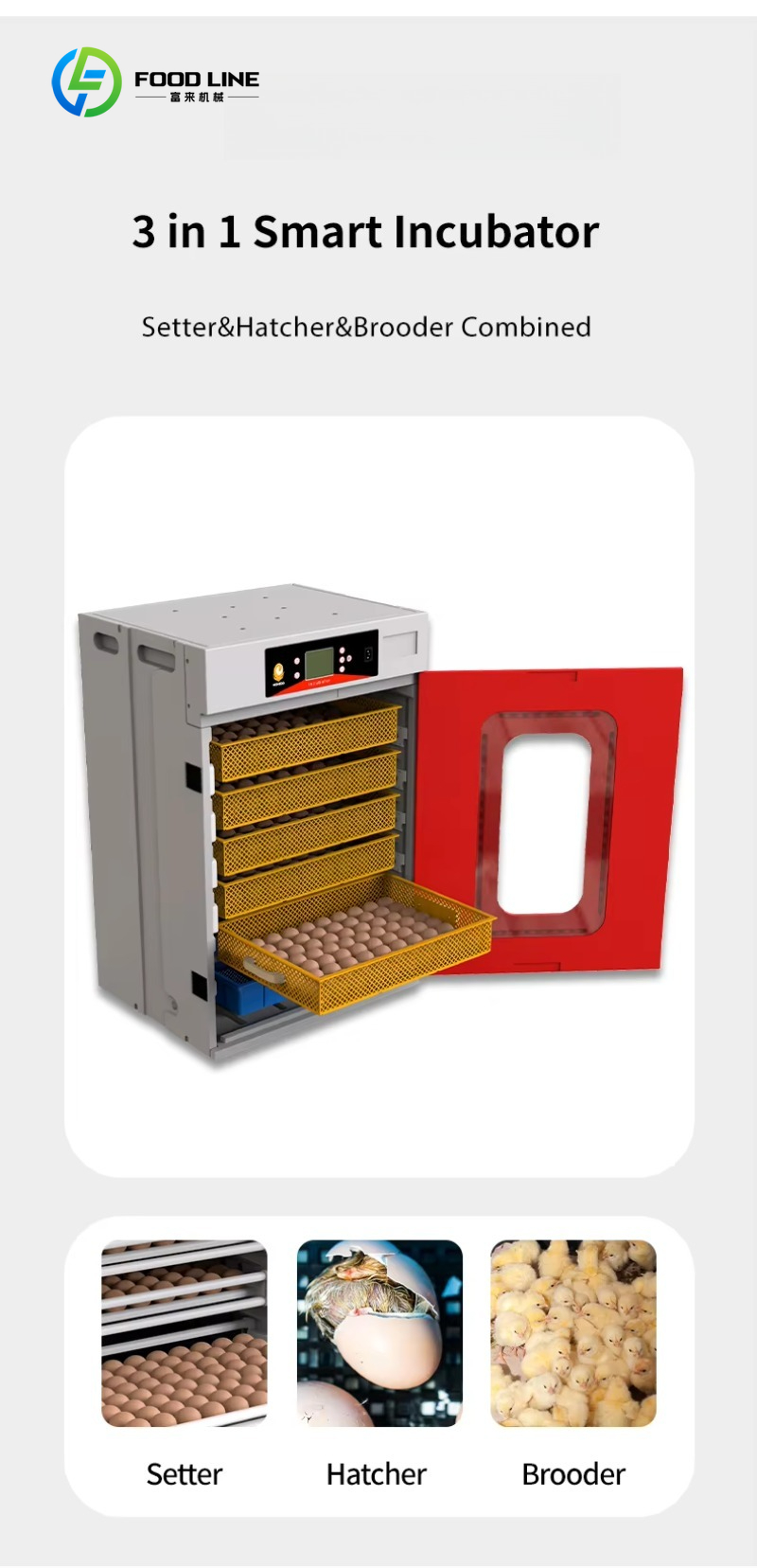 Nowy inkubator do przepiórek i – Quail Egg Incubator recenzja i cena