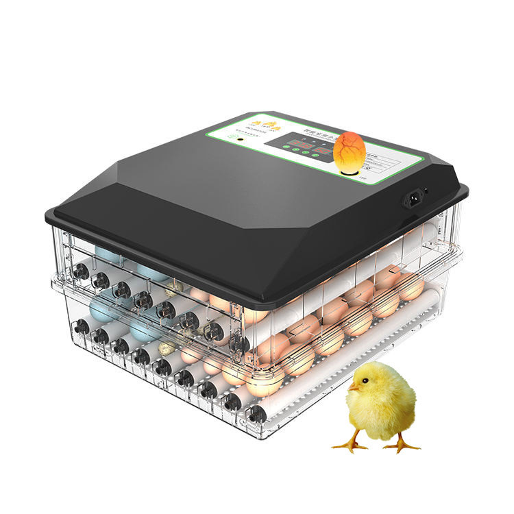 Szeroko stosowany automatyczny – Poultry Incubator recenzja i cena