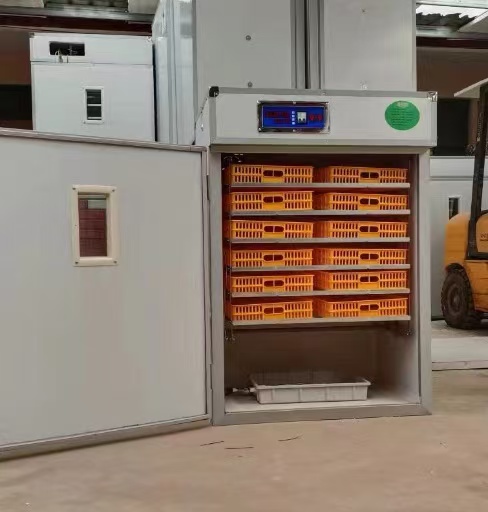 Automatyczny inkubator do jaj  – Poultry Incubator recenzja i cena