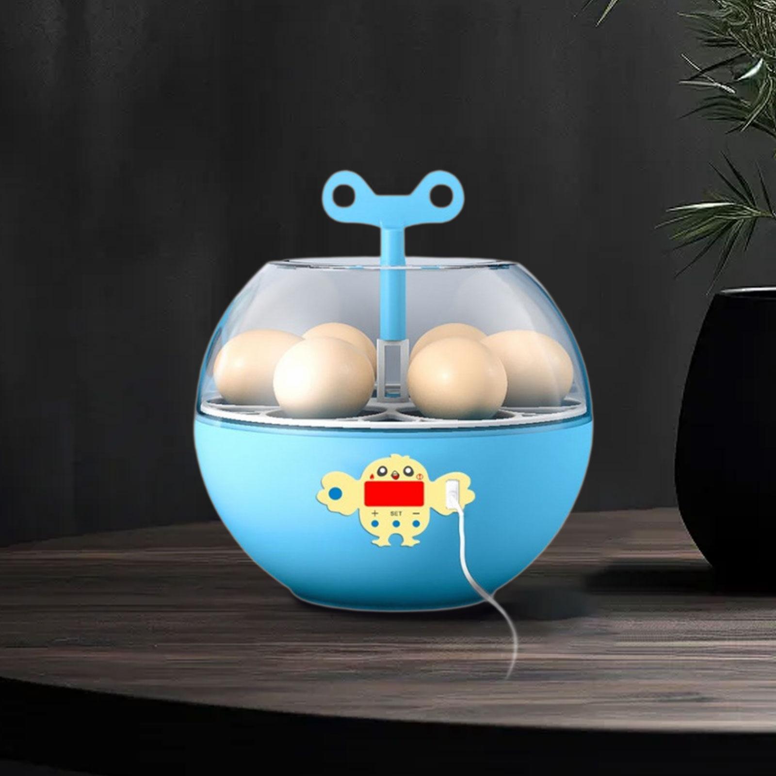 Inkubator na 6 jaj, mini inkub – Quail Egg Incubator recenzja i cena