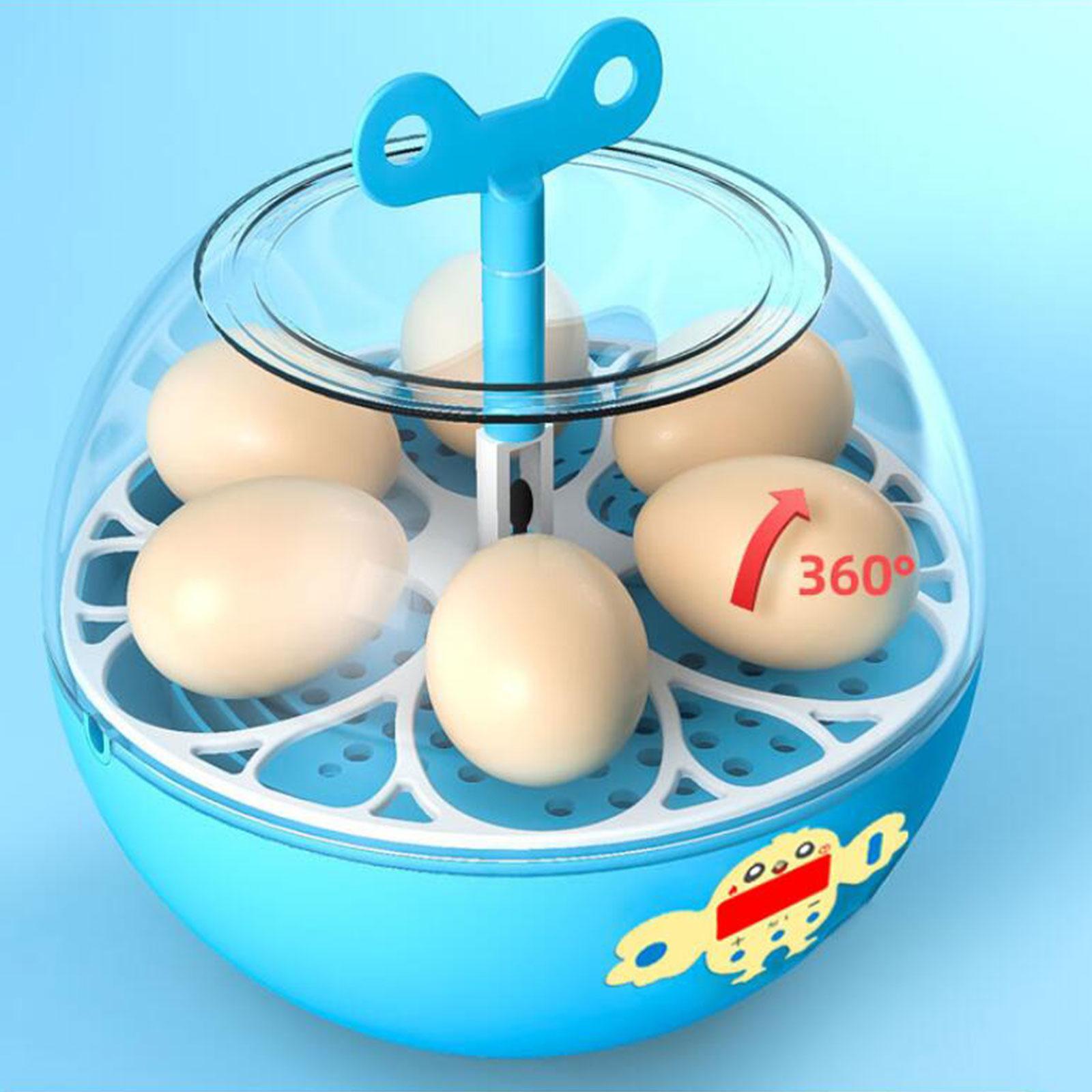 Inkubator na 6 jaj, mini inkub – Quail Egg Incubator recenzja i cena