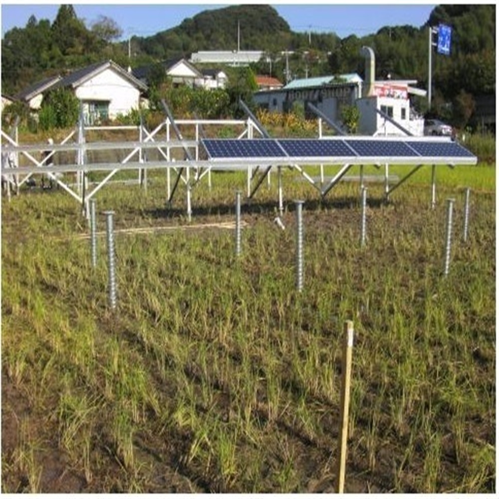 Projektowanie komercyjnych far – Agriculture.Farming Design recenzja i cena