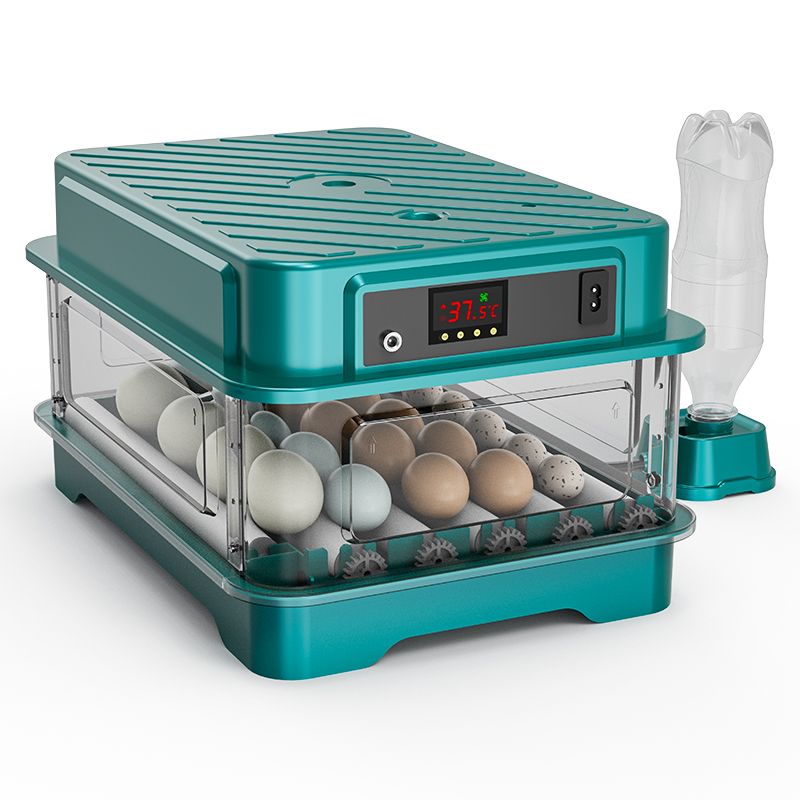 W pełni automatyczny inkubator – Quail Egg Incubator recenzja i cena