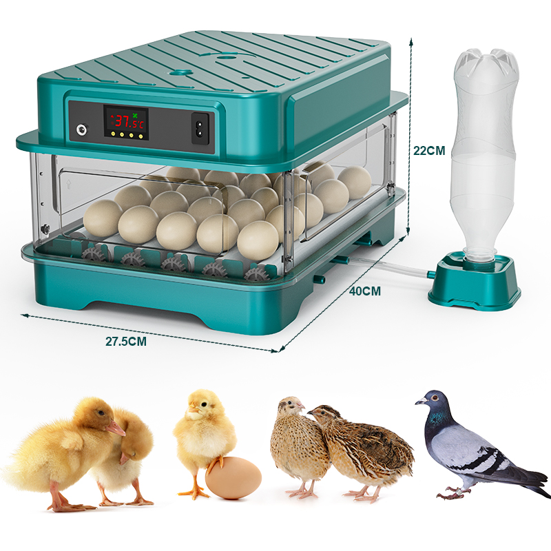 W pełni automatyczny inkubator – Quail Egg Incubator recenzja i cena