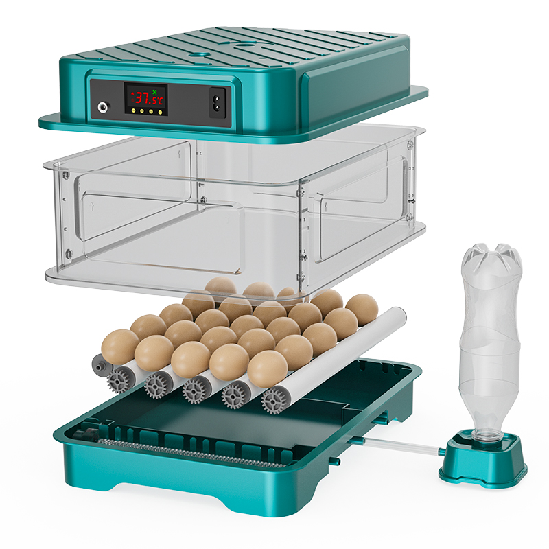 W pełni automatyczny inkubator – Quail Egg Incubator recenzja i cena