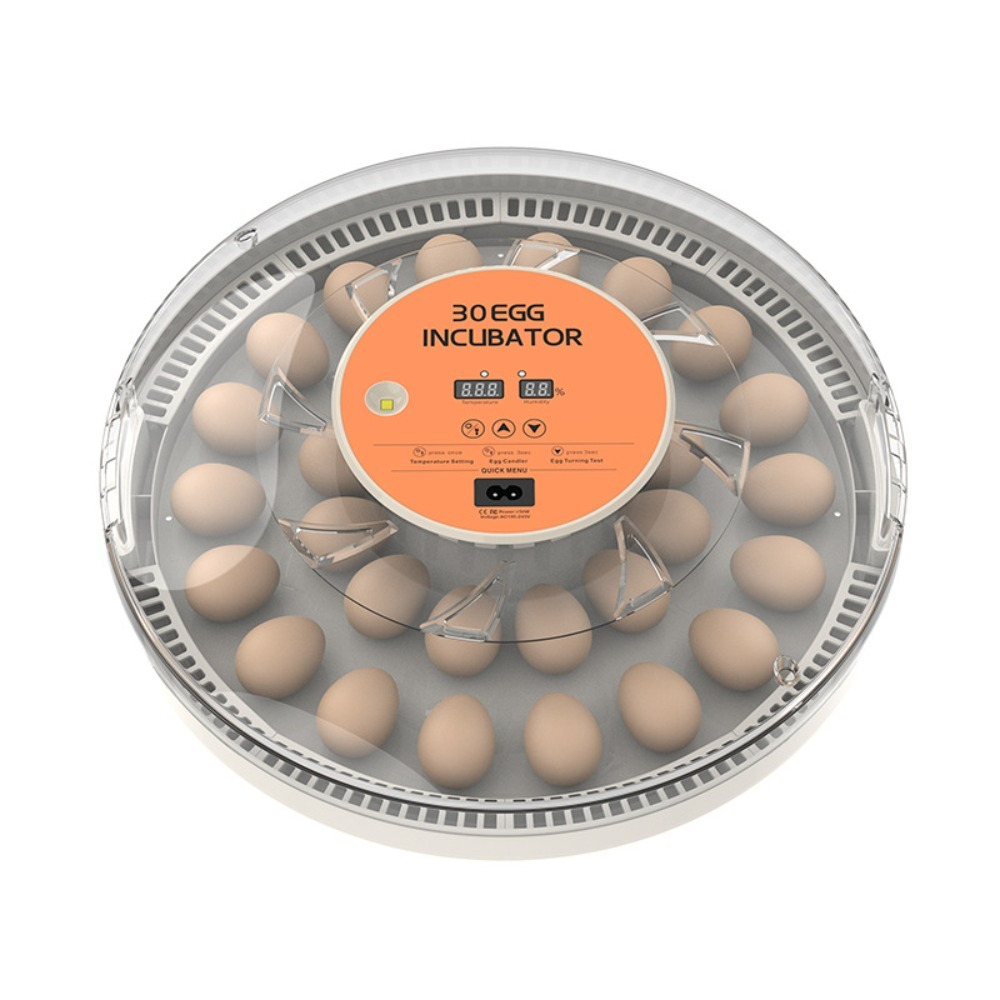 Mały Automatyczny Inkubator do – Poultry Incubator recenzja i cena