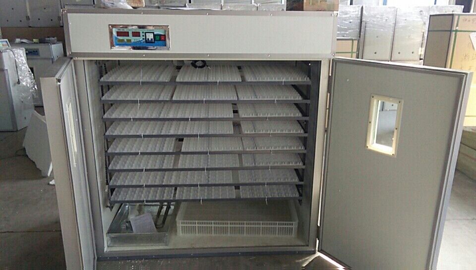 Automatyczny inkubator przemys – Quail Egg Incubator recenzja i cena