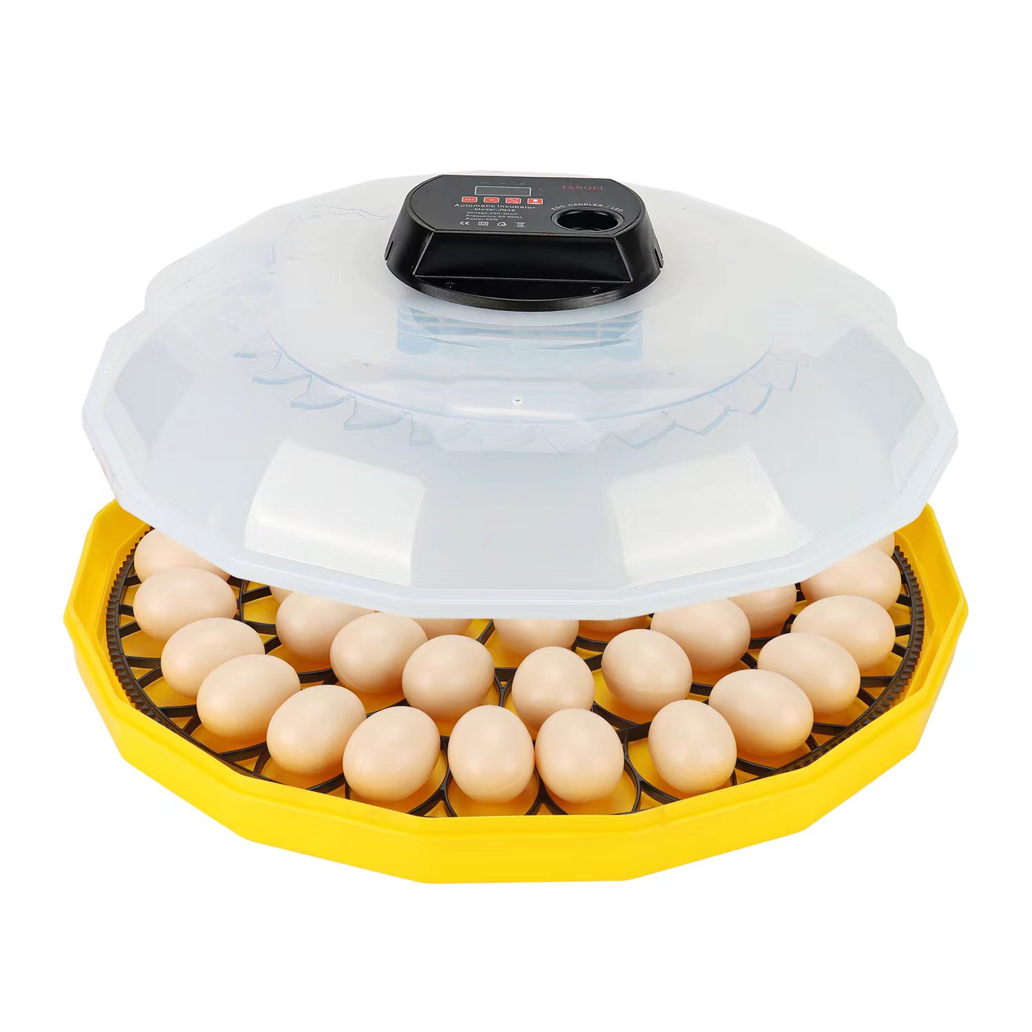 Mini inkubator do jaj o 99% ud – Quail Egg Incubator recenzja i cena