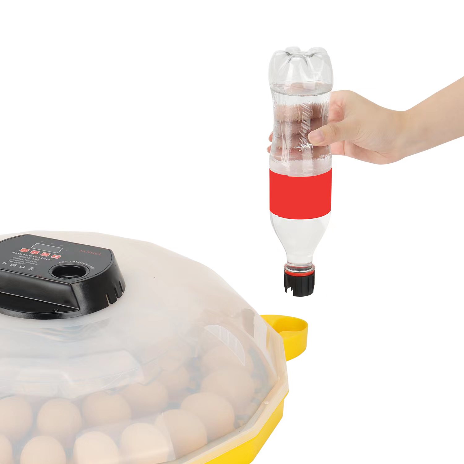 Mini inkubator do jaj o 99% ud – Quail Egg Incubator recenzja i cena