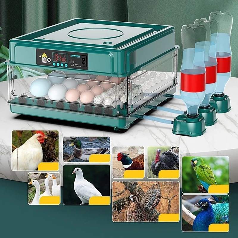 12 24 38 inkubator do jaj auto – Quail Egg Incubator recenzja i cena
