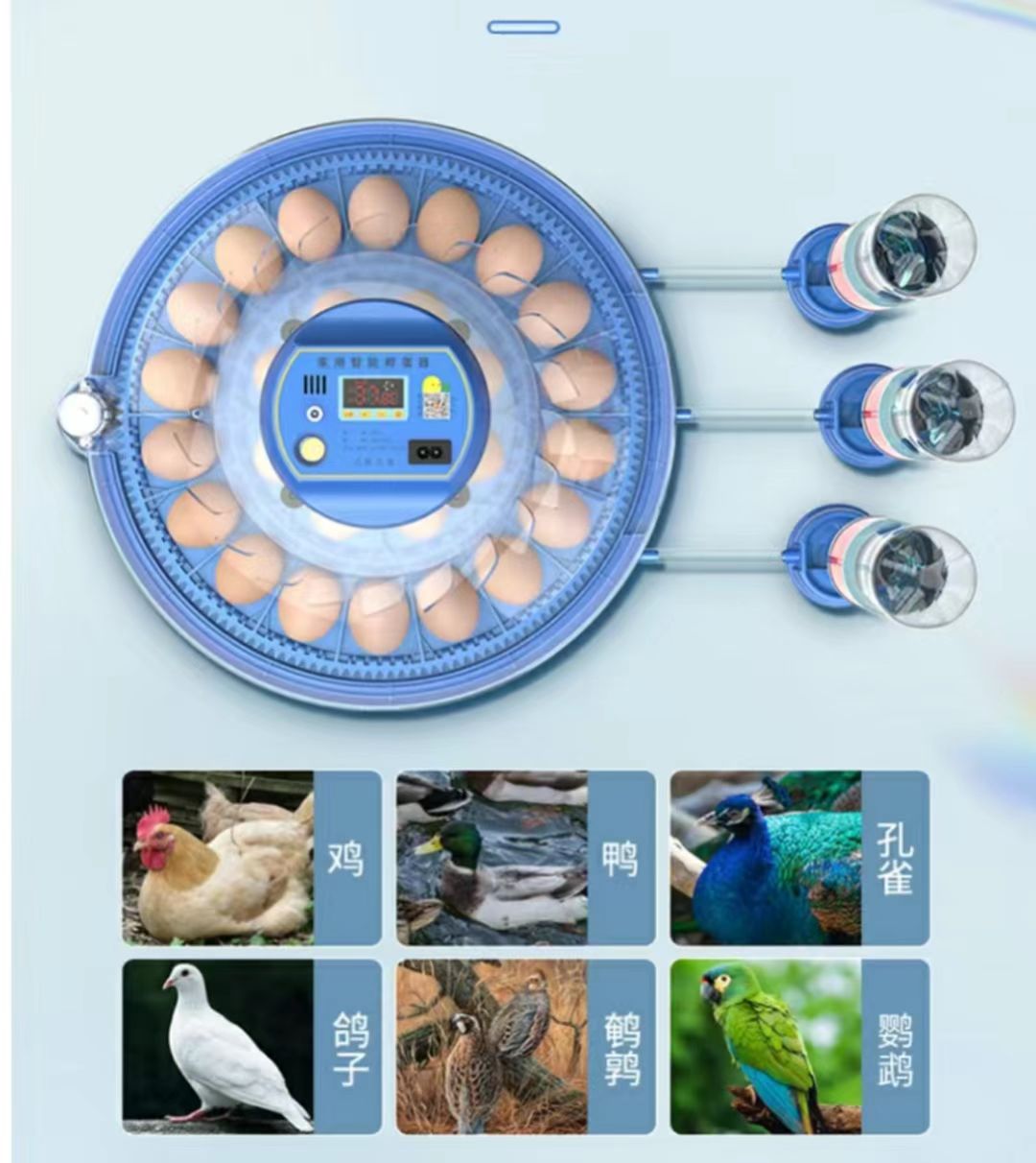 Inkubator do jaj kurzych 20/24 – Poultry Incubator recenzja i cena