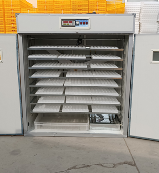Inkubator do jaj kurzych 20/24 – Poultry Incubator recenzja i cena